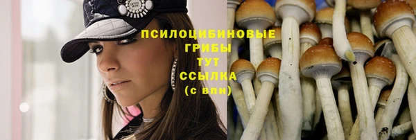 скорость Кукмор